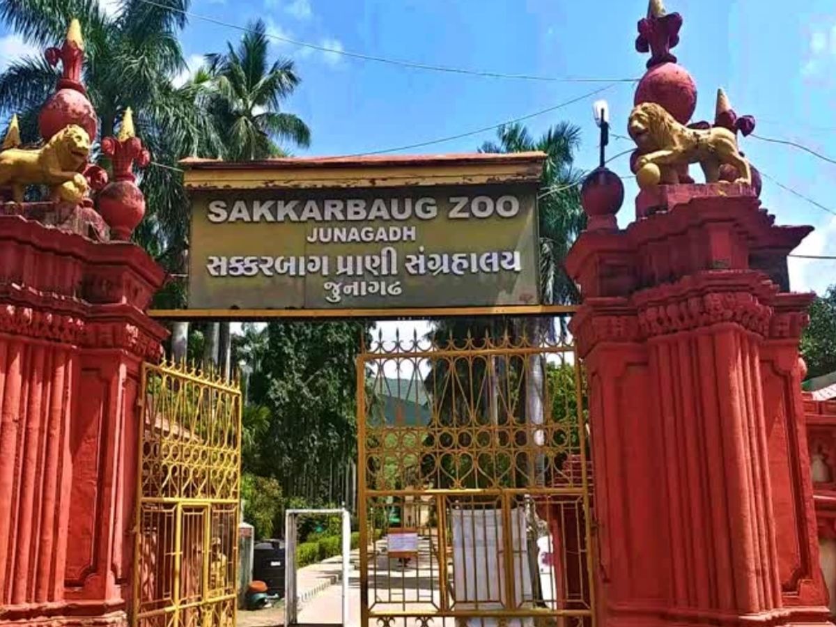 Zoo